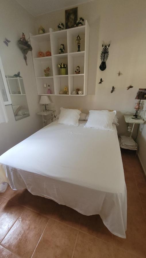 Casita De Invitados En *